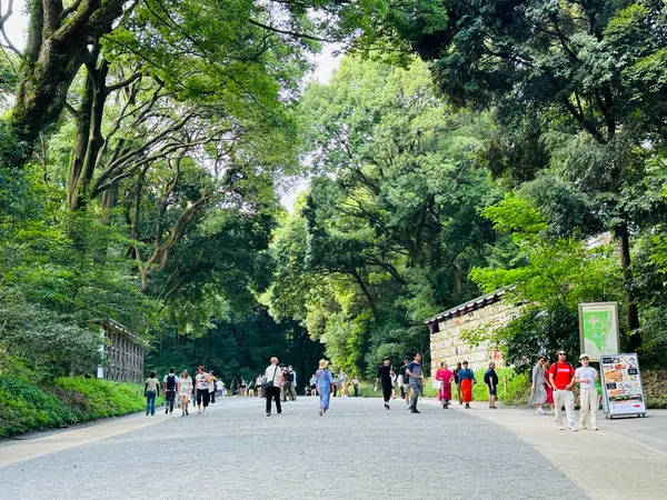 Meiji Shrine Morning Walk & Brunch photo 2