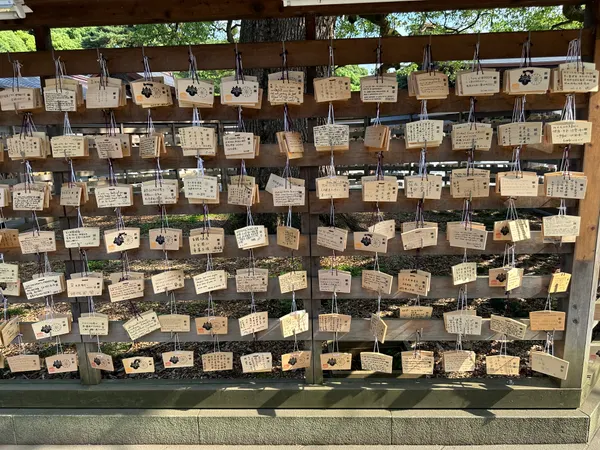 Meiji Shrine Morning Walk & Brunch photo 7